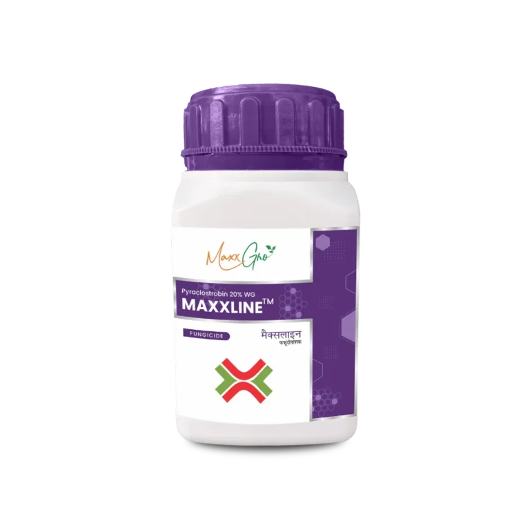 Maxxline Pyraclostrobin 20% WG fungicide jar pack by MaxxGro Agrology Limited.